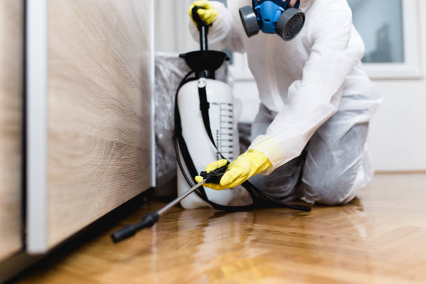 Best Affordable Pest Control Services  in Nibley, UT