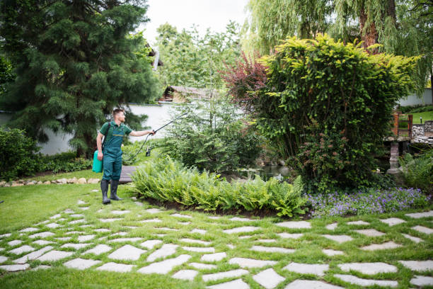 Best Residential Pest Control  in Nibley, UT
