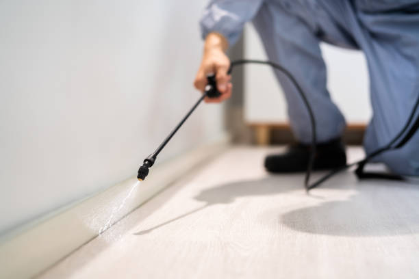 Best Best Pest Control Companies  in Nibley, UT