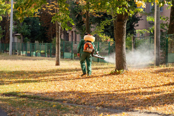 Best Emergency Pest Control  in Nibley, UT