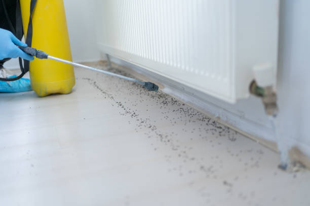 Trusted Nibley, UT Pest Control Experts