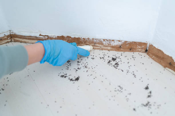 Best Pest Removal Services  in Nibley, UT